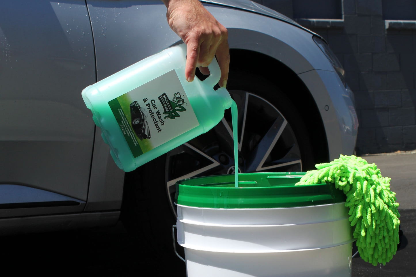 Car Wash and Protectant Bar's Bugs
