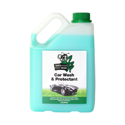 Car Wash and Protectant - 2L