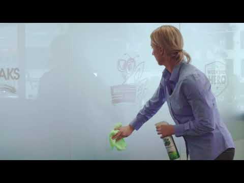 Bar's Bugs Glass Cleaner Video starring Greer Wiles